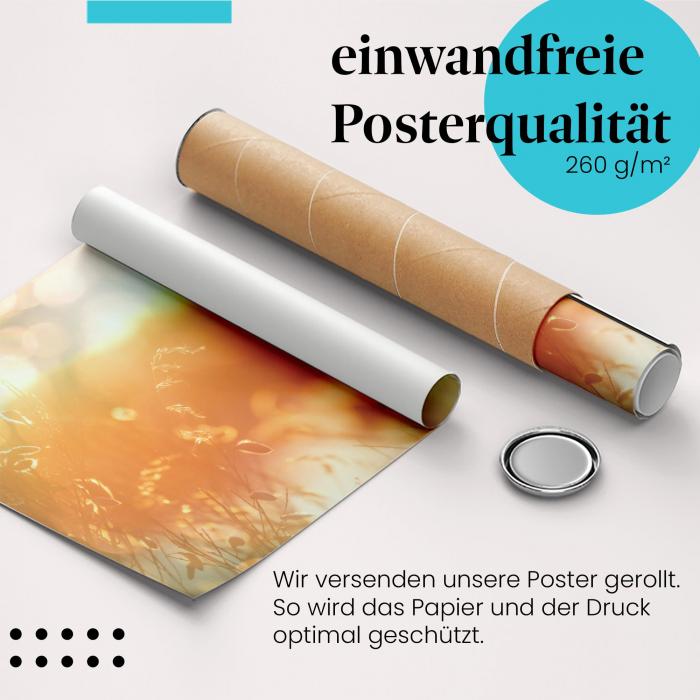 Gerolltes Poster "Sonnenlicht & Gras". Sommerliche Stimmung, sicher verpackt.