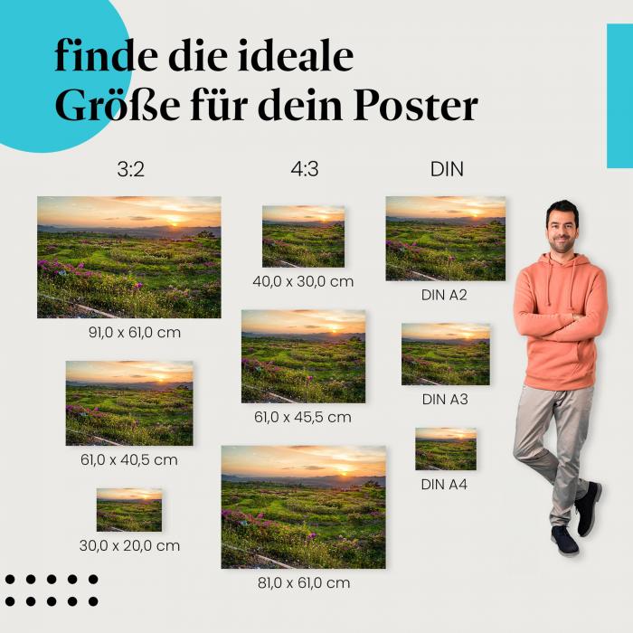 Romantische Stimmung: Poster "Farbenfroher Sonnenuntergang über Blumenfeld"