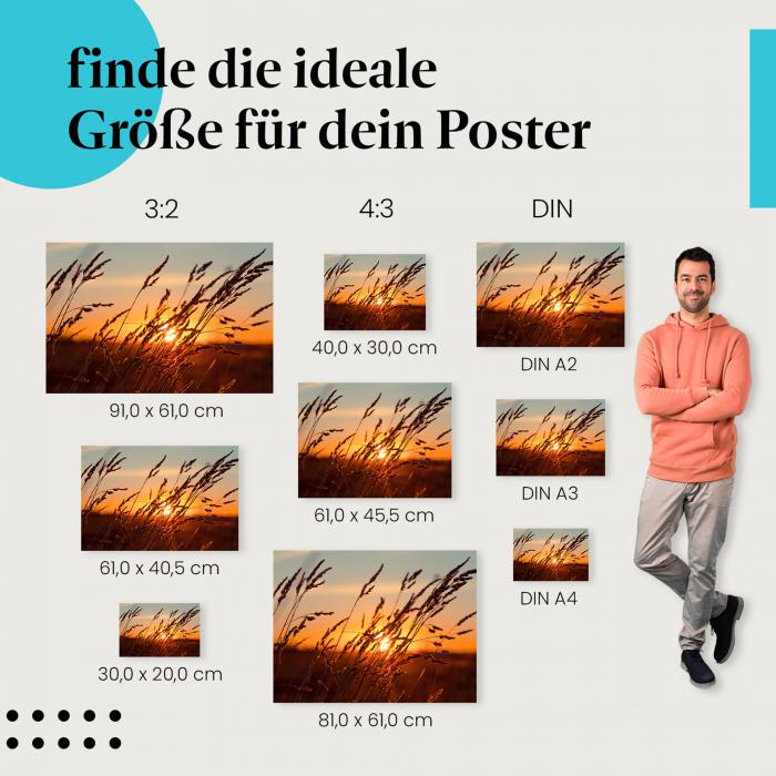 Finde die perfekte Postergröße! Sonnenuntergang, Gras, Silhouetten.