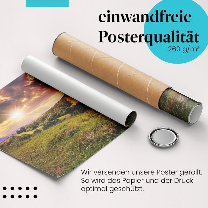 Gerolltes Poster "Abendliche Landschaft" - Friedvolle Stimmung, sicher verpackt.