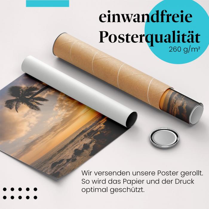 Gerolltes Poster "Palme am Strand". Tropisches Flair, sicher verpackt.