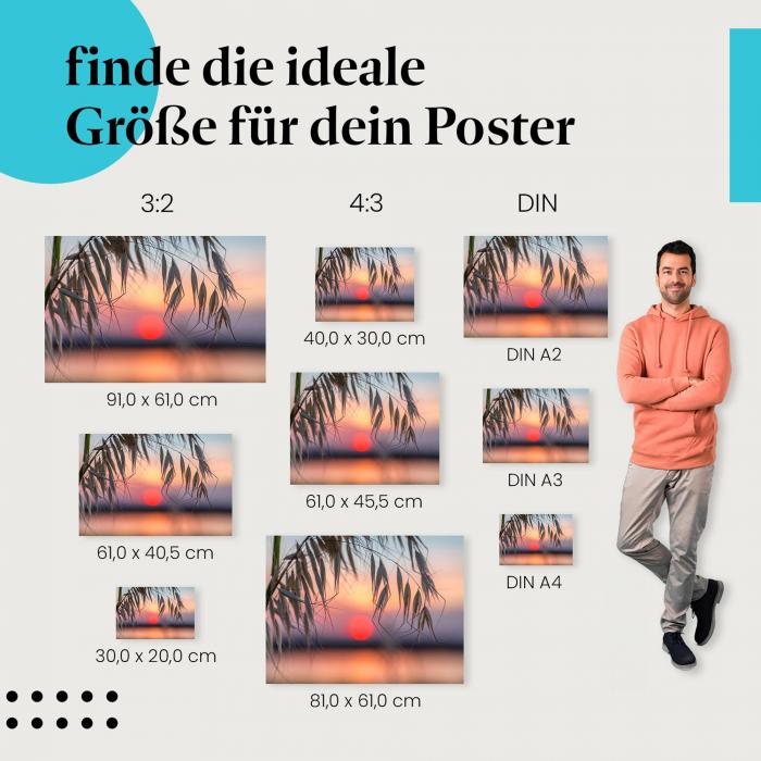 Sonnenuntergang, Poster: See, Gräser, Schatten.