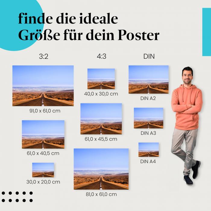 Straße durch die Wüste Poster: Weite Landschaft!