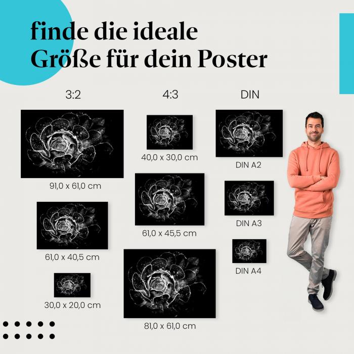 Faszinierende Ästhetik: Sukkulenten-Poster "Geheimnisvolle Schönheit"