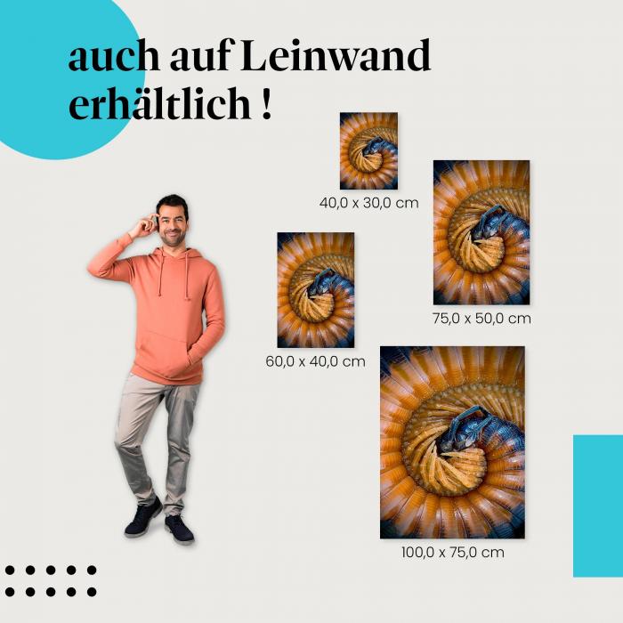 Tausendfüßer Makroaufnahme: Leinwandbild. Wähle deine Größe & erlebe die Details!