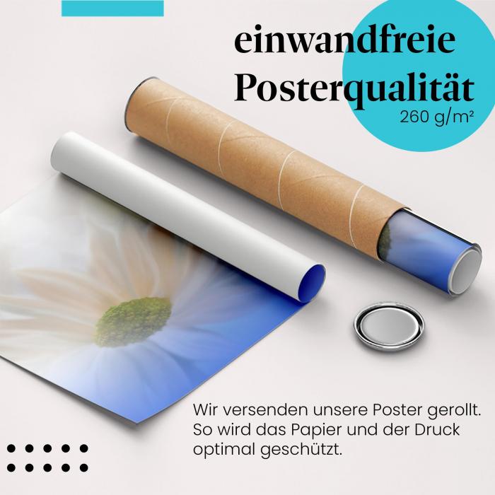 Gerolltes Poster "Tautropfen". Natur & Details, sicher verpackt.