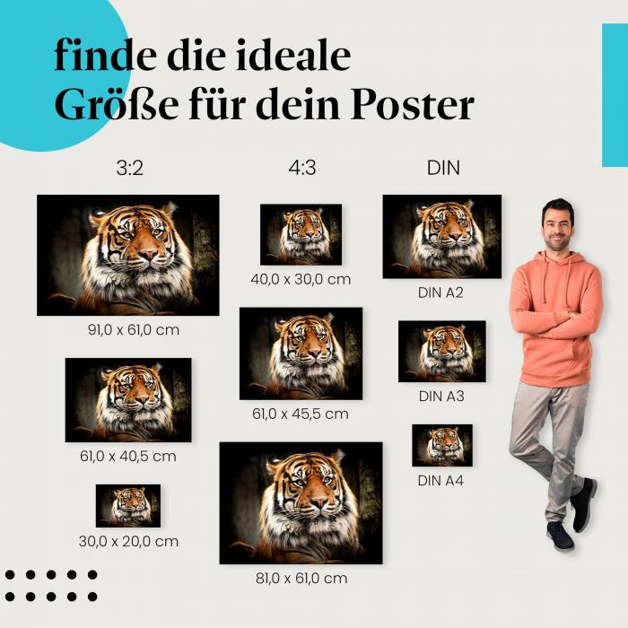 Entdecke die passende Postergröße: Tiger-Porträt: Schönheit & Stärke des Raubtiers.