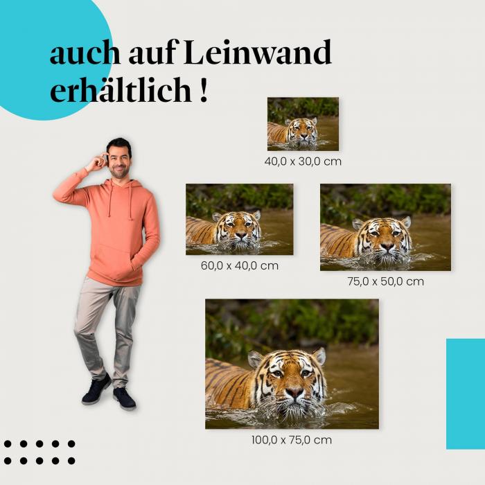 "Tiger" Leinwandbild. Ideale Größe für dein modernes Zuhause, setze stilvolle Akzente mit Kunst!