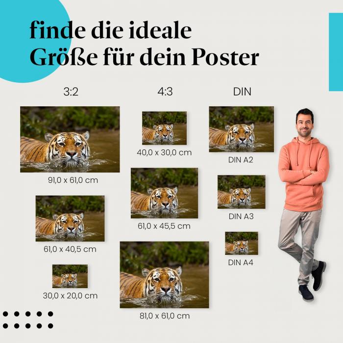 Tiger Poster: Mächtige Raubkatze - jetzt Größe wählen!