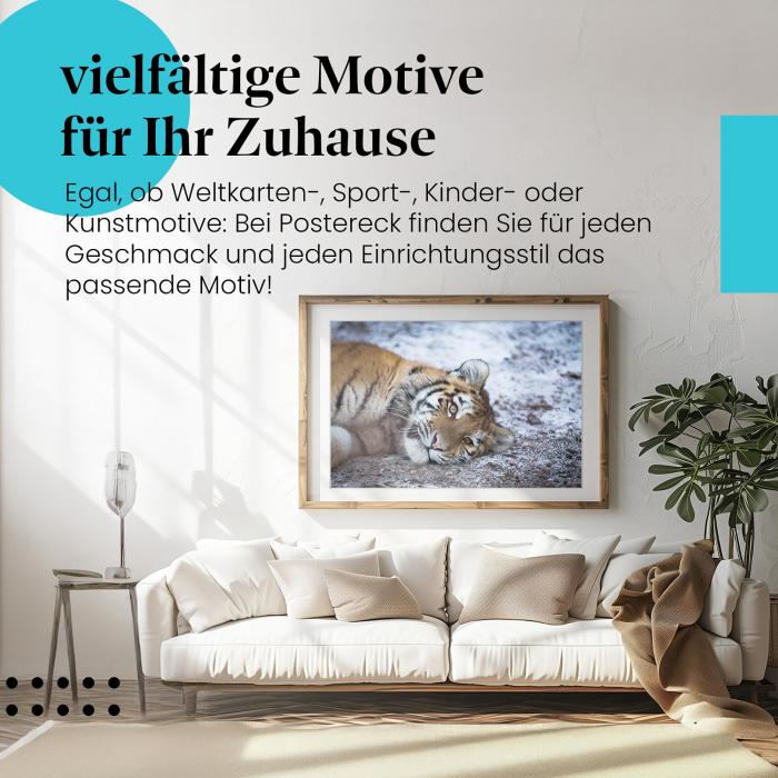 Dieses Leinwandbild mit dem Tigerjunges ist ein faszinierendes Motiv und bringt die Schönheit der Tierwelt in Ihr Zuhause.