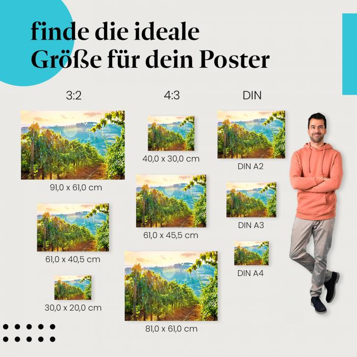 Wein & Genuss: "Toskana: Weinbergidylle" - Poster mit Weinreben & Landgut