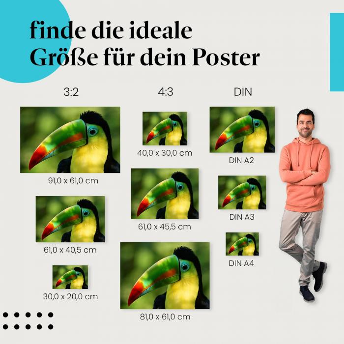 Tukan Poster: Exotischer Vogel - jetzt bestellen!