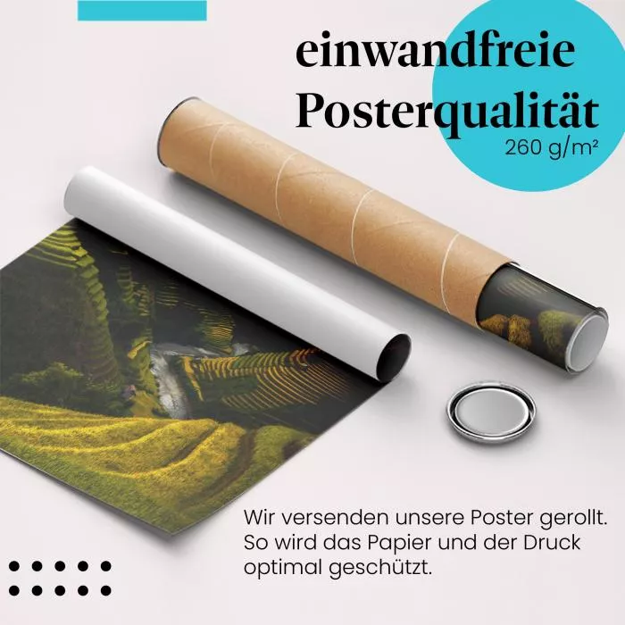 Goldene Reisfelder | Postereck 2198