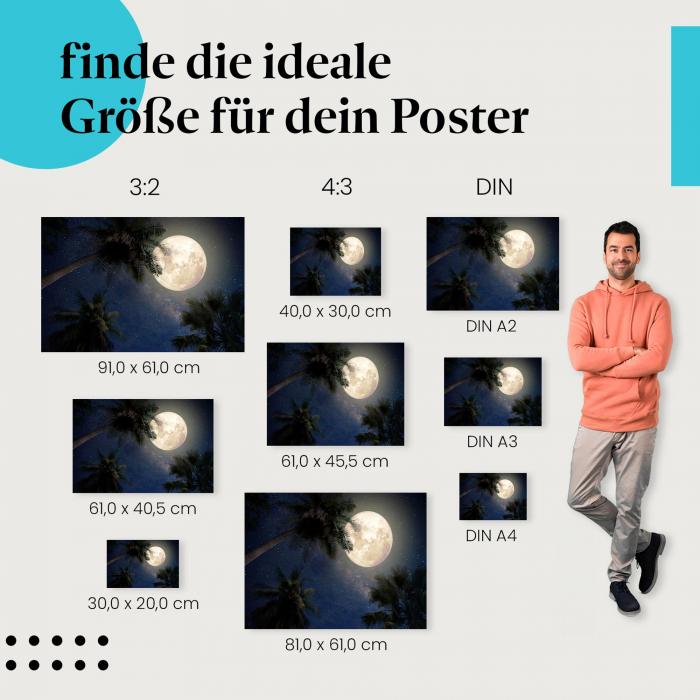 Finde die ideale Postergröße: Vollmond, Palmen, Sterne, Milchstraße.