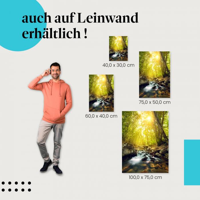 Wald & Bach: Leinwandbild. Ruhe und Entspannung im sonnendurchfluteten Wald.