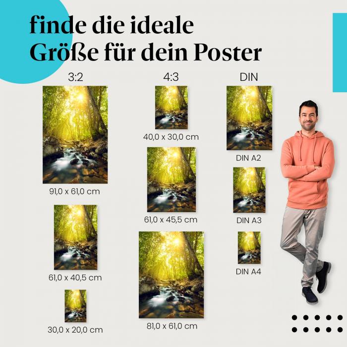 Entdecke die passende Postergröße: Bach im Wald, klares Wasser, grüner Wald.