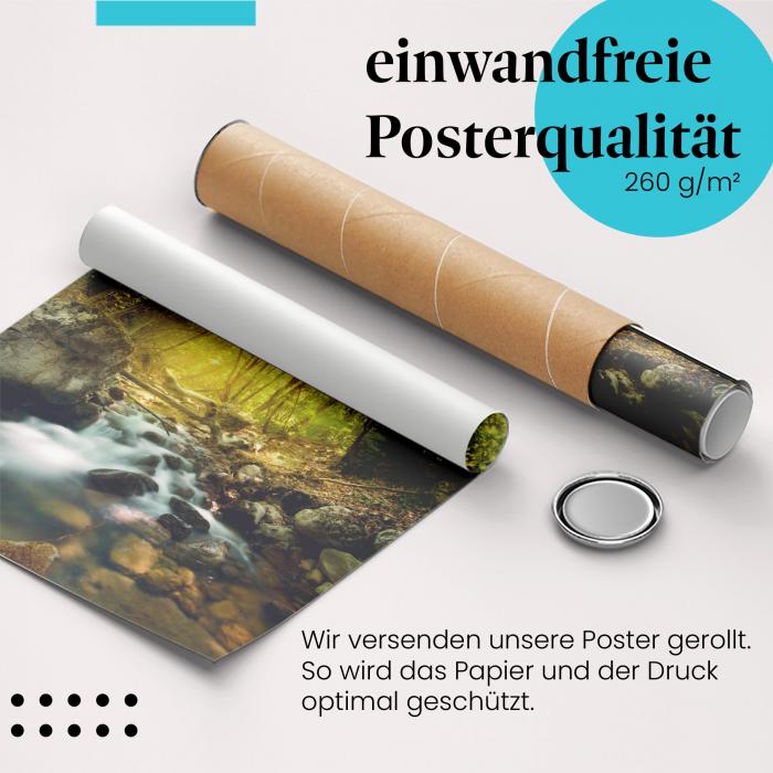 Gerolltes Poster "Waldbach". Entspannende Natur, sicher verpackt.