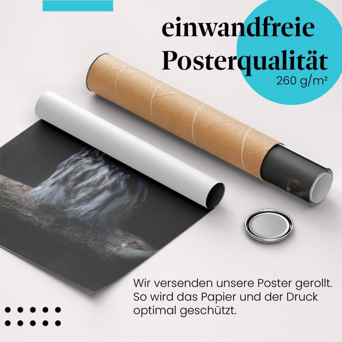 Gerolltes Poster "Eule". Vogelporträt, sicher verpackt.