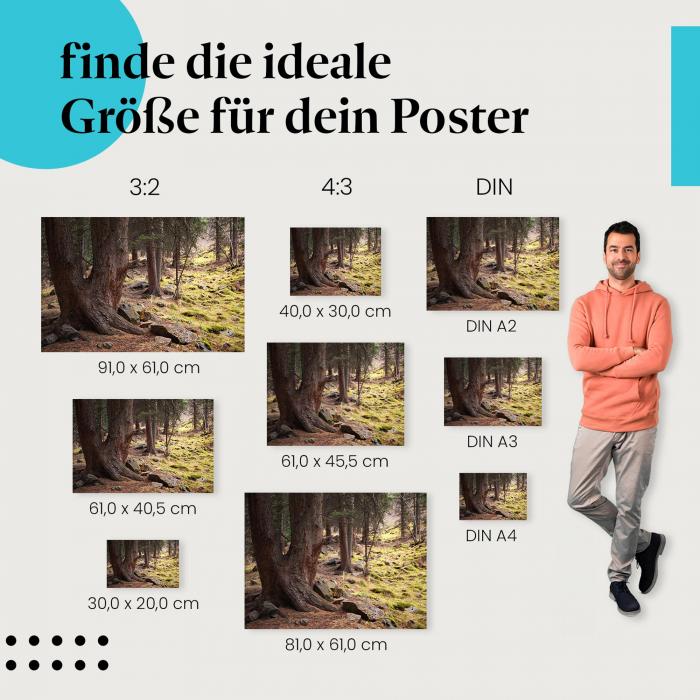 Geheimnisvolle Atmosphäre: Waldposter "Mystischer Waldpfad" - Dichter Wald