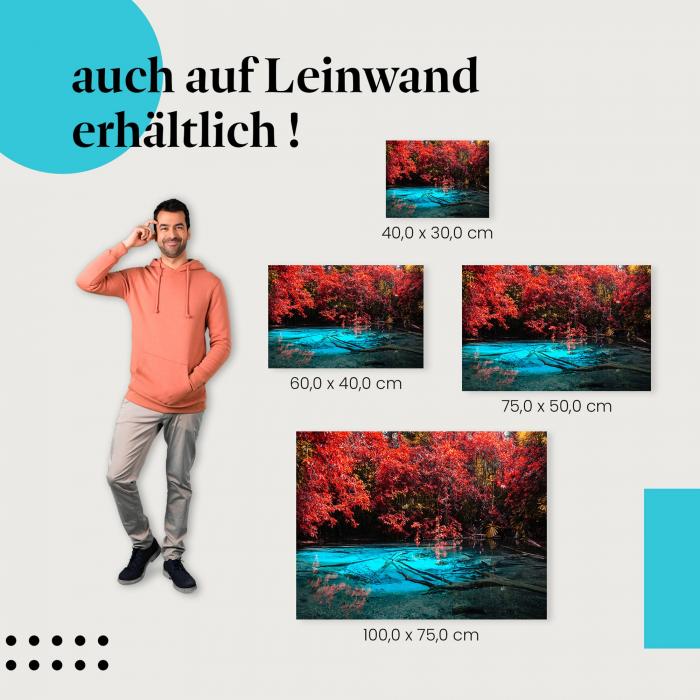 See: Leinwandbild. Türkis, Dschungel, mystisch.