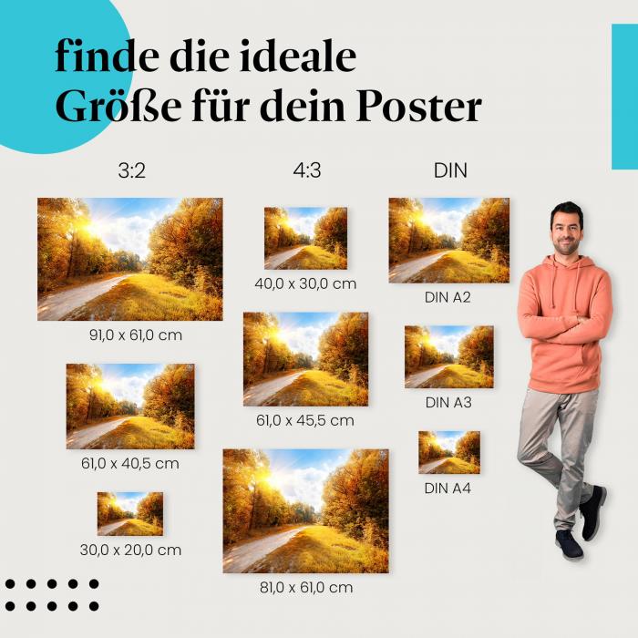 Entdecke die passende Postergröße: Weg im Herbstwald, bunte Blätter, Sonnenlicht.