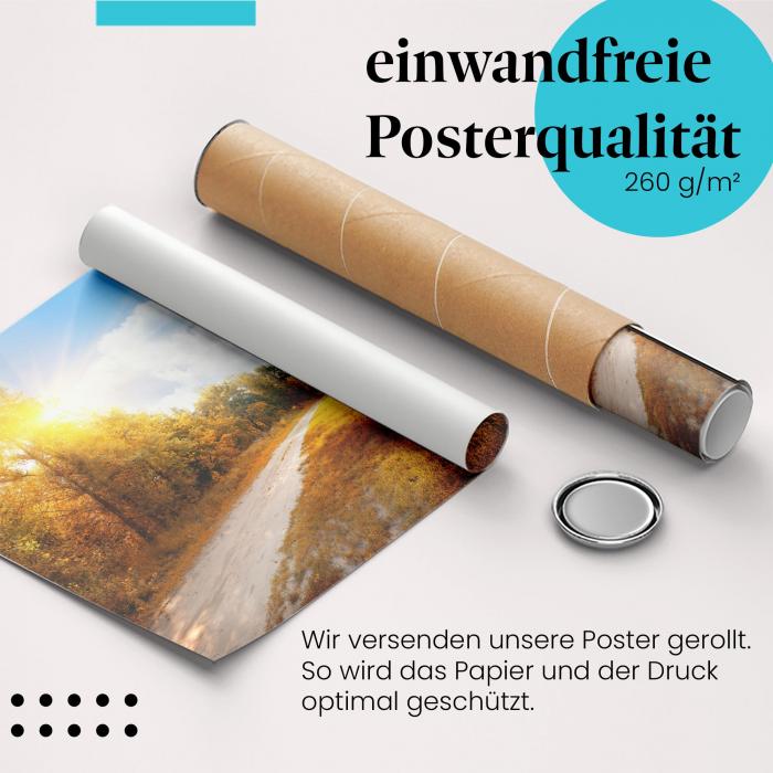 Gerolltes Poster "Herbstwald" - Farbenpracht der Natur, sicher verpackt.