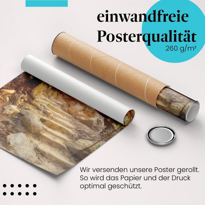 Gerolltes Poster "Waldpfad". Natur & Fantasie, sicher verpackt.