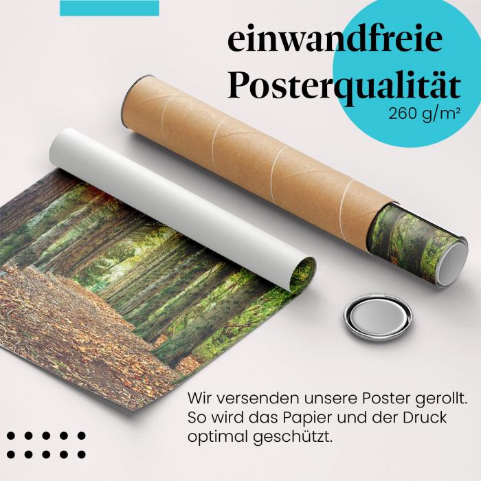 Gerolltes Poster "Waldweg". Wald & Entspannung, sicher verpackt.