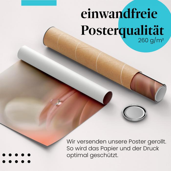 Gerolltes Poster "Wassertropfen". Abstrakte Natur, sicher verpackt.