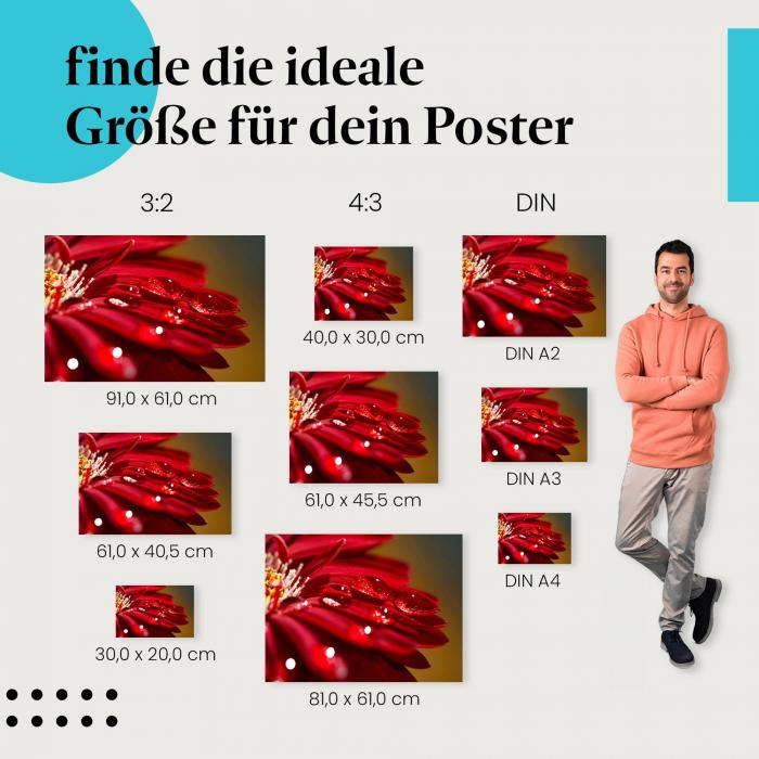 Gerbera, Poster: Abstrakt, Wassertropfen, rot, glitzernd, Makroaufnahme.