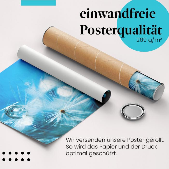 Gerolltes Poster "Pusteblume & Wasser". Kunst & Natur, sicher verpackt.