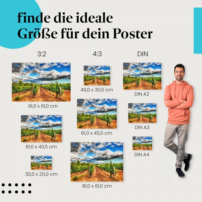 "Toskana Feeling": Weinberg Poster - Endlose Weinreben & imposante Wolken