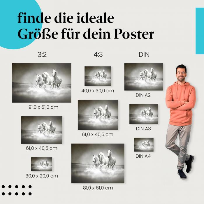 Weiße Pferde am Wasser Poster: Edle Tiere - jetzt bestellen!