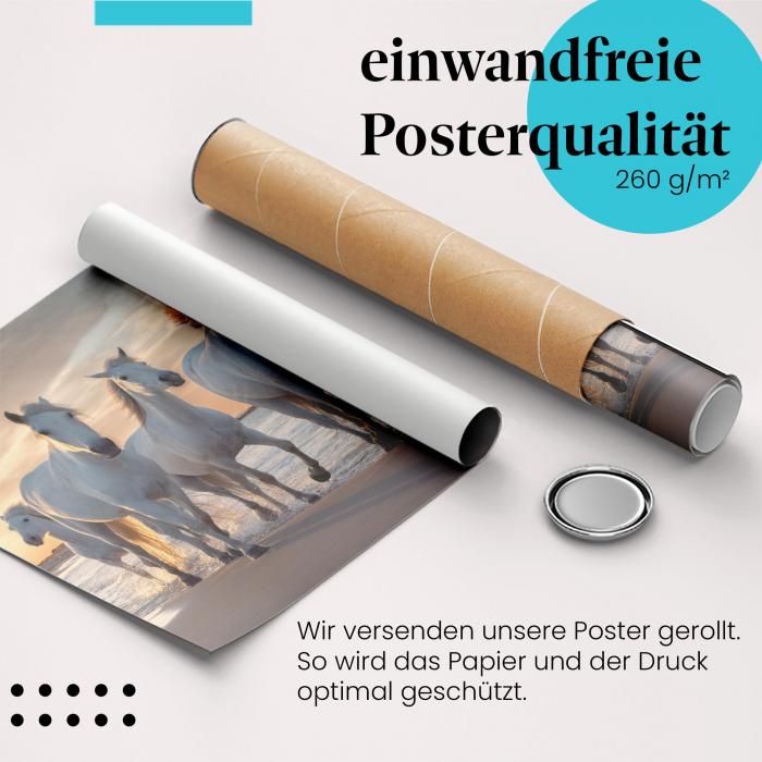 Gerolltes Poster "Pferde am Strand". Freiheit & Bewegung, sicher verpackt.