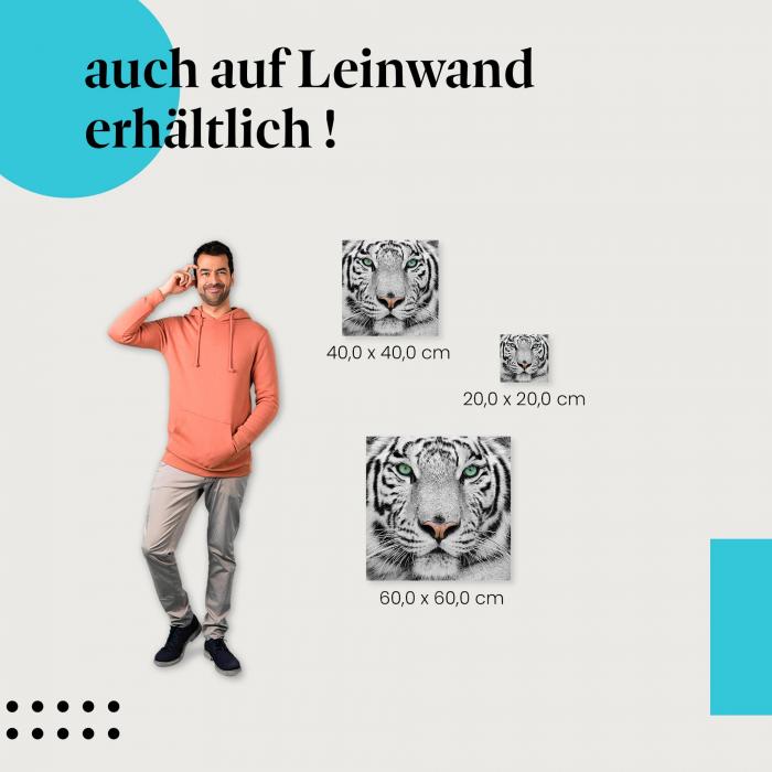 "Weißer Tiger" Leinwand. Verschiedene Größen für dein Zuhause - setze Akzente mit Kunst!