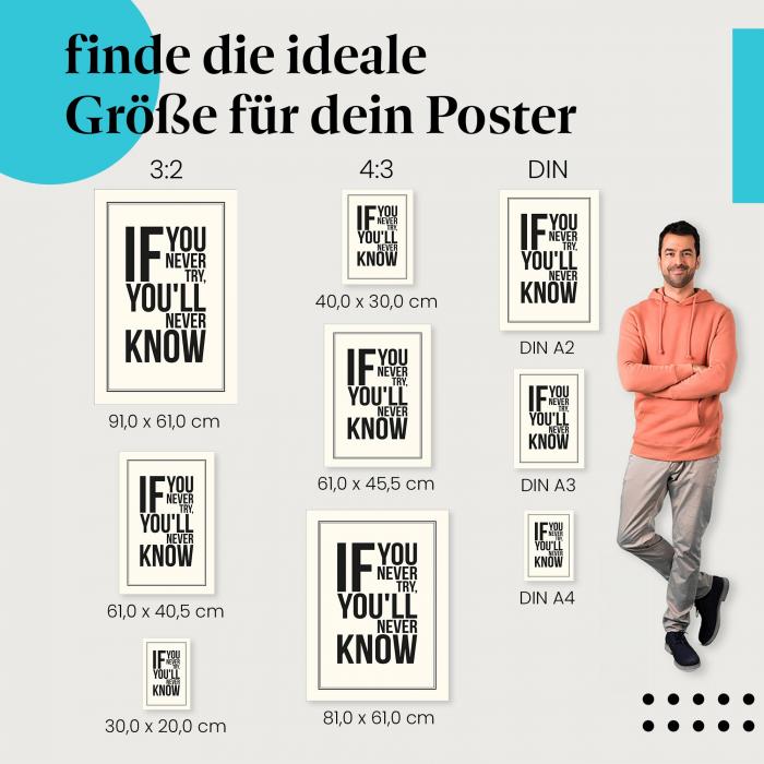 "Wer nicht wagt, der nicht gewinnt!": Poster - Herausforderungen & Erfolg