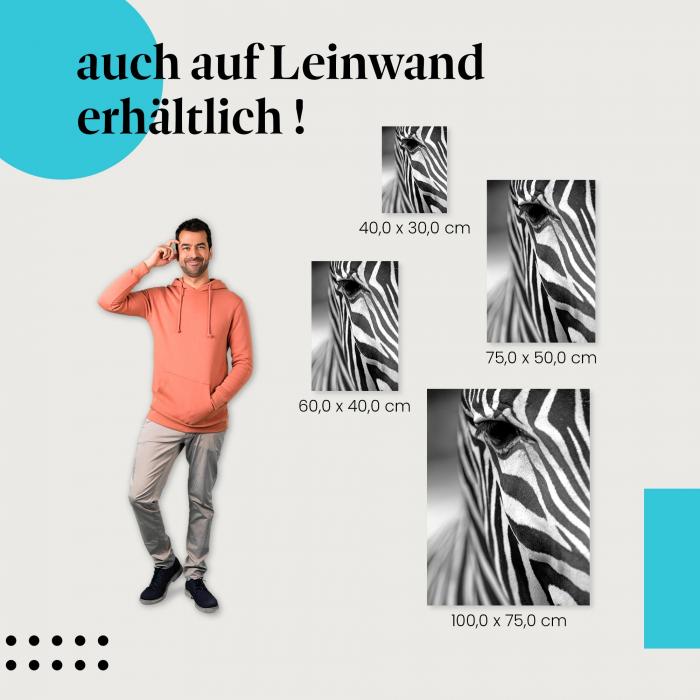 "Zebraportrait in schwarzweiß" Leinwandbild. Finde die ideale Größe für dein Zuhause & setze Akzente mit Kunst!