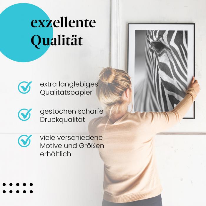 Gerahmtes Wandbild "Zebra Portrait, Schwarz-Weiß", langlebiges Papier, verschiedene Größen erhältlich.