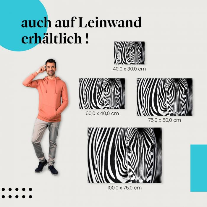 Zebra: Leinwandbild. Nahaufnahme, Streifen.