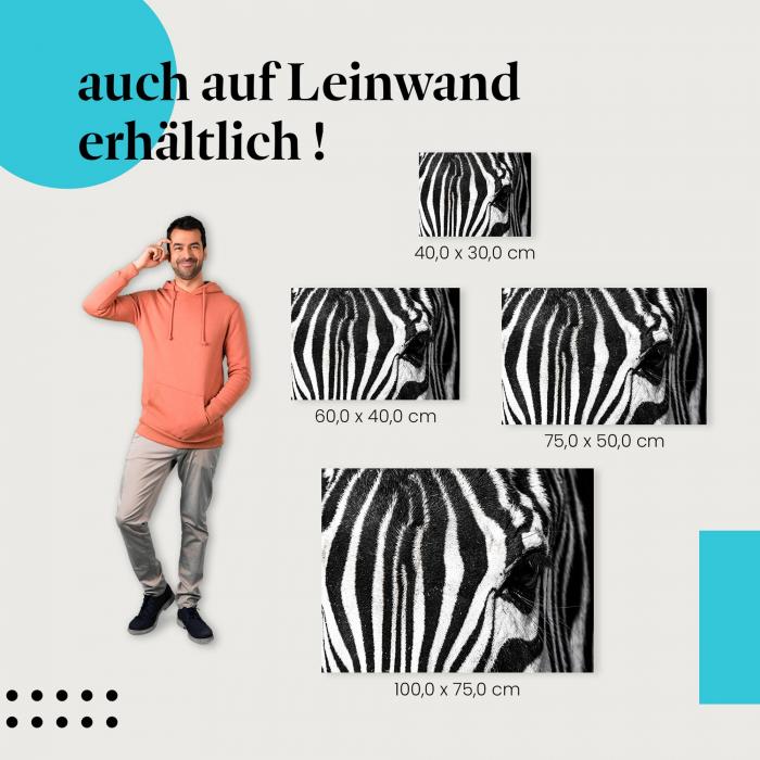 Zebraauge: Leinwandbild. Nahaufnahme, Muster.