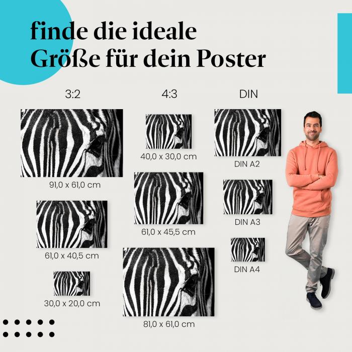 Zebraauge, Poster: Nahaufnahme, Muster.