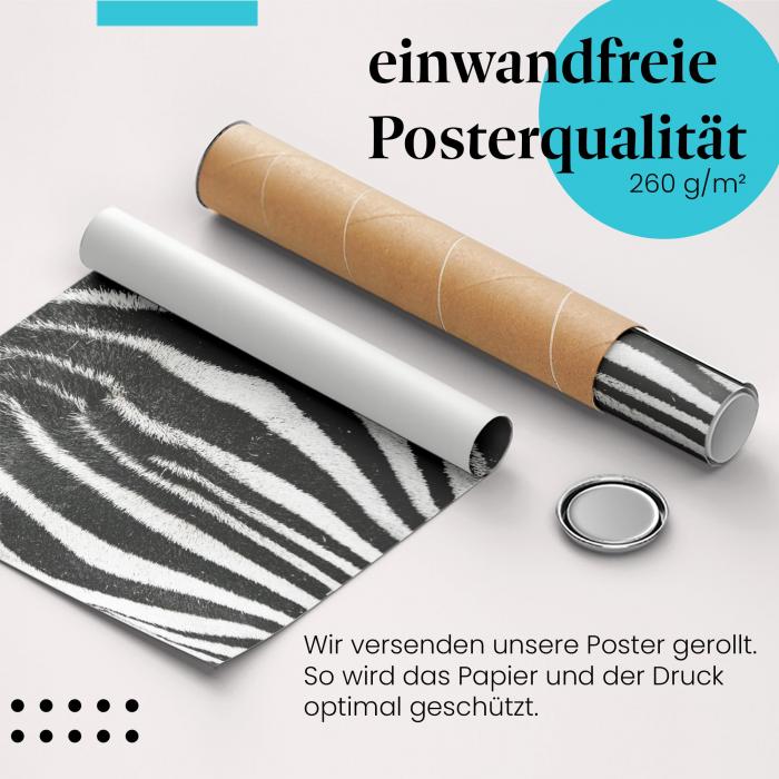 Gerolltes Poster "Zebraauge" - Tierfotografie, sicher verpackt.