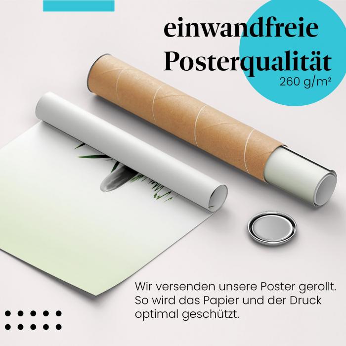 Gerolltes Poster "Zen Garten" - Entspannung & Balance, sicher verpackt.