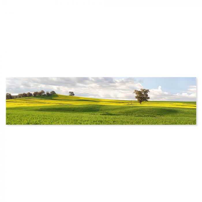 Leuchtend gelbes Rapsfeld, hügelige Landschaft, Wiesen & Bäume, Frühling.