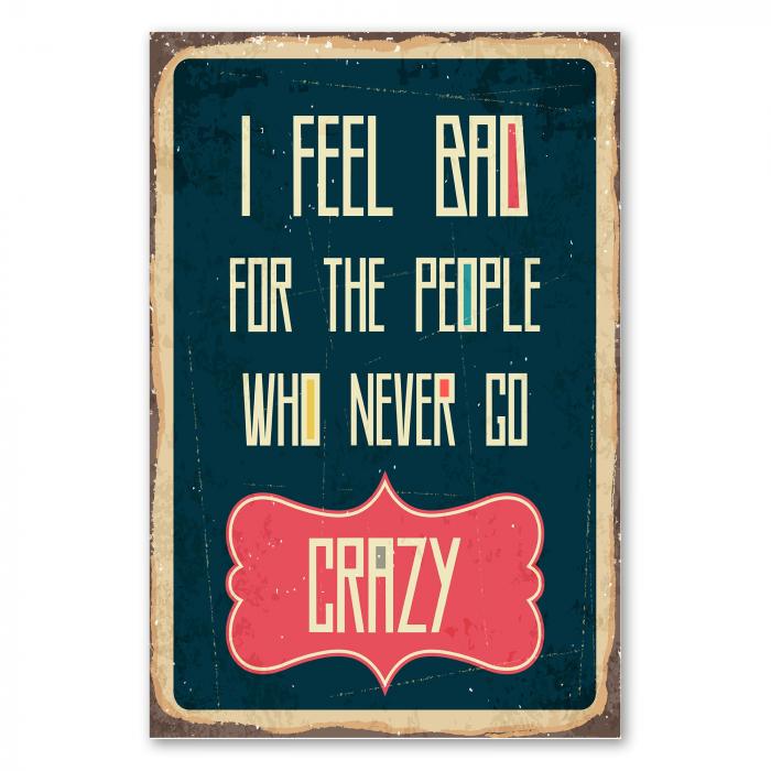 Vintage-Schild im Retro-Look mit der Aufschrift "I Feel Bad For The People Who Never Go Crazy".