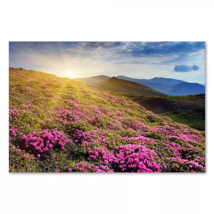 Blühende Rhododendren in einer atemberaubenden Berglandschaft - ein Bild von beeindruckender Schönheit.