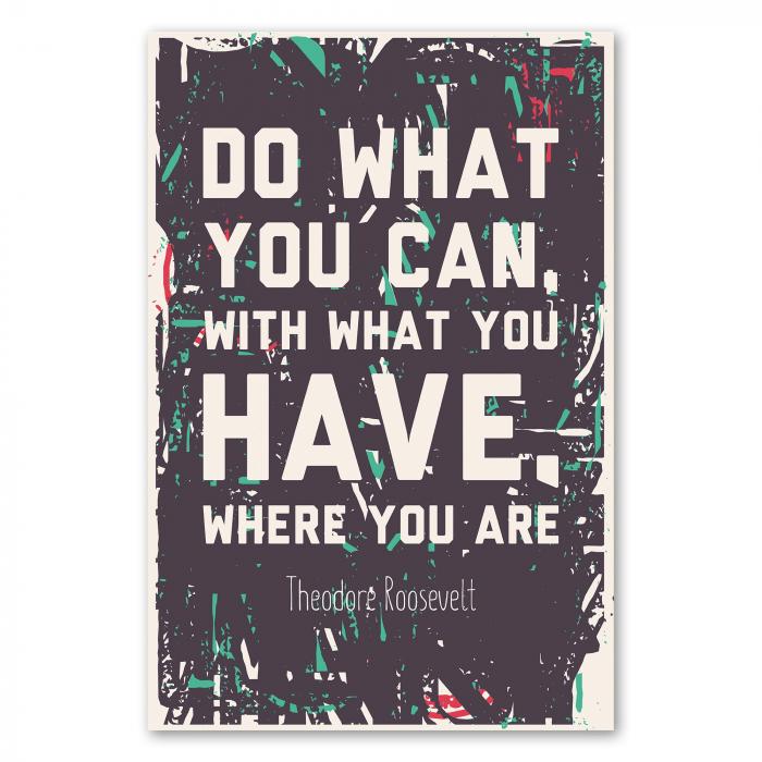 "Do what you can, with what you have, where you are." - Theodore Roosevelt