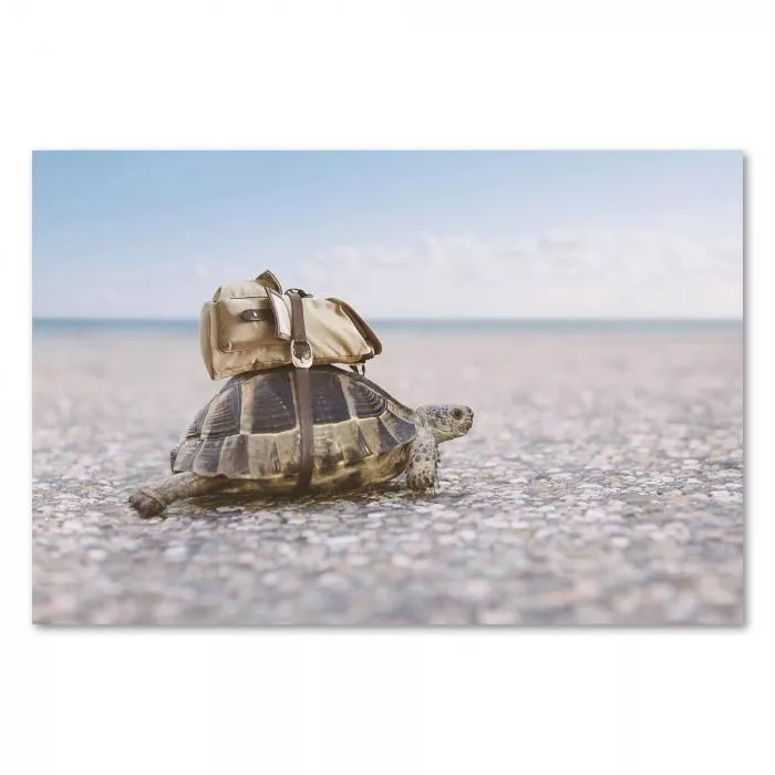 Griechische Landschildkröte, Rucksack, wandert am Strand - Geduld & Ausdauer.