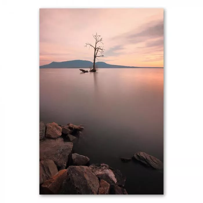 Kahler Baum im Wasser, ruhiger See, pastellfarbener Abendhimmel.