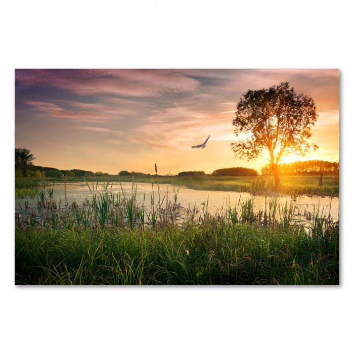 Baum am Seeufer, Sonnenuntergang, goldenes Licht, Vogel über dem Wasser.